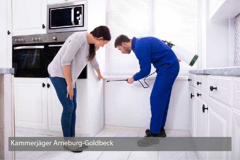 Kammerjäger Arneburg-Goldbeck