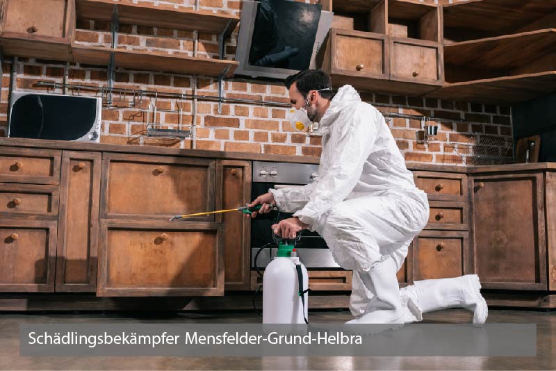 Schädlingsbekämpfer Mensfelder-Grund-Helbra